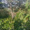user2680361024243