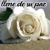 claudia.de.vicent