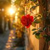 florp623