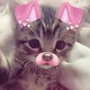 user.charli_.e