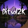 ditsol2k