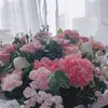 thao.nguyen075