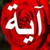 ayacherif04