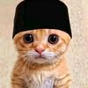 desta_ezz1