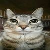 rizz_kky3