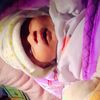 fasi