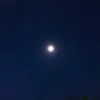 di_20.8