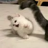 bringmebc