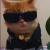 bemycat4ever