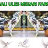 kadek5ichi