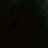 nael.aell