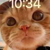 user3382931336337