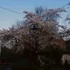 itz_lara43