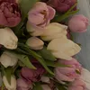 hii_carol