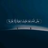 mohamedkh2649