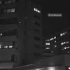 kurdo.zf