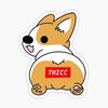 corgi123lily
