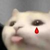 kiraliu3