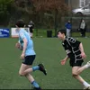 davidhalvey8