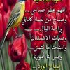 user1351324570862