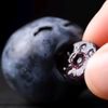 niche..blueberry