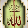 user2282071905479
