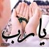 ahmed.alh62