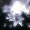 smugzoid