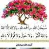 hamidabdi796