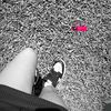 prettylittlelady._