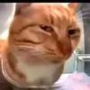 jorguniuss