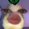 sho_yooooooo