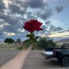 itsjust_jacky