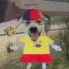 swagfish45