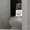.z0ecita