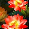 kirati8789