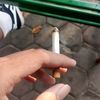 timurorangstyle1