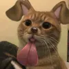 m_ijl3