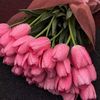 amira82610