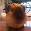 iluvnoodles_andcapybaras