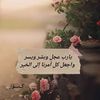 or.ayman