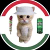 user1nxqj0gktf