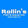 Rollin's Aquarium