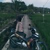 alisaaja11
