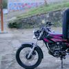 specialtelornya5