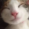 comfort.you1