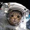 spacecat1958