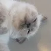 izzzyyylovesyou