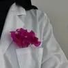 ام ﮼محمد