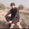 dardiishq0